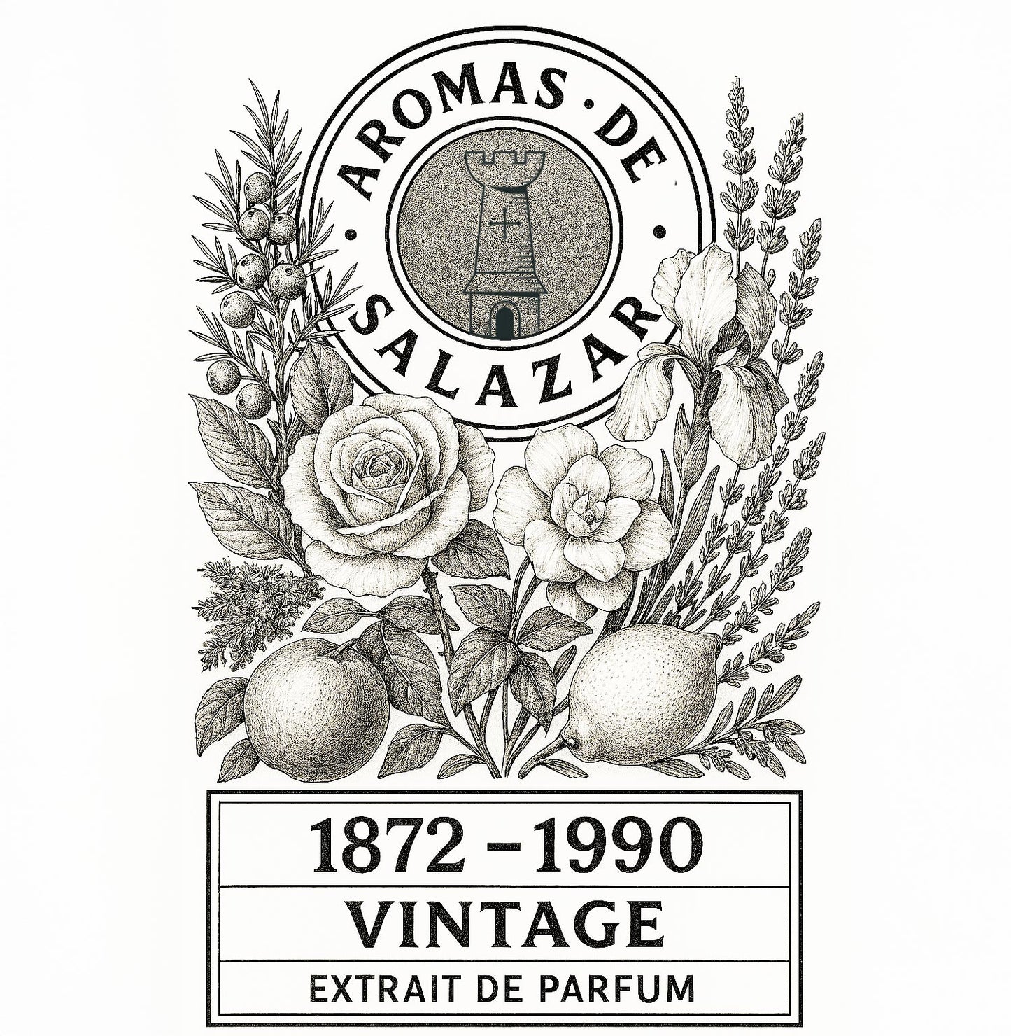 Vintage Discovery Set